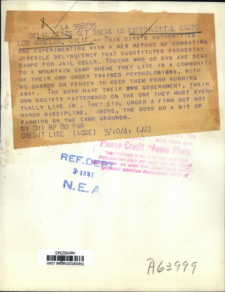 1941 Press Photo Juvenile Delinquents do farming in experimental camp-California