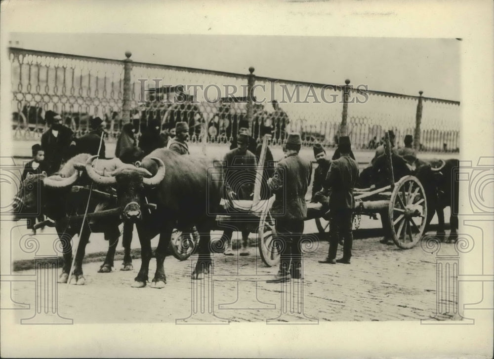 1912 Press Photo Turkish ex cart transport - nem72446