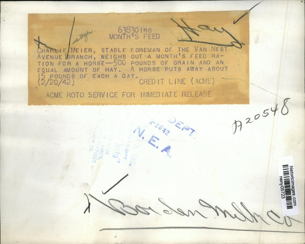 1942 Press Photo New York Charlie Meier at Van Nest Avenue Branch NYC