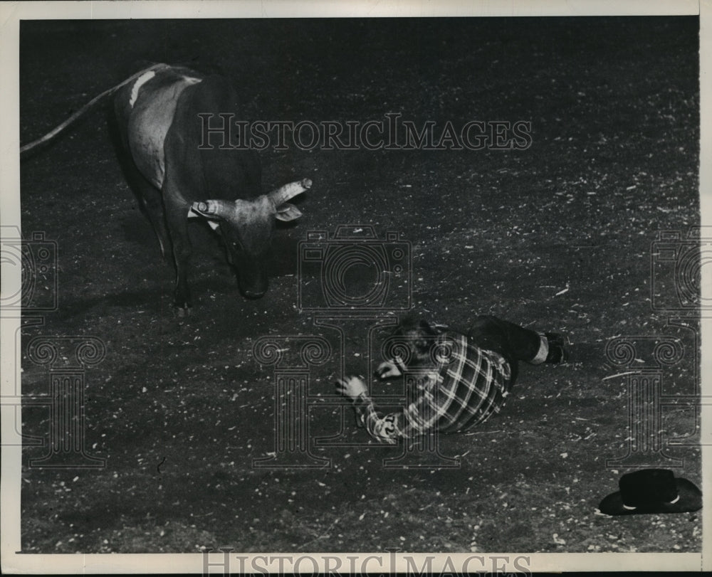 1945 Press Photo New York Rider thrown from Bull at Rodeo NYC - neny06194- Historic Images