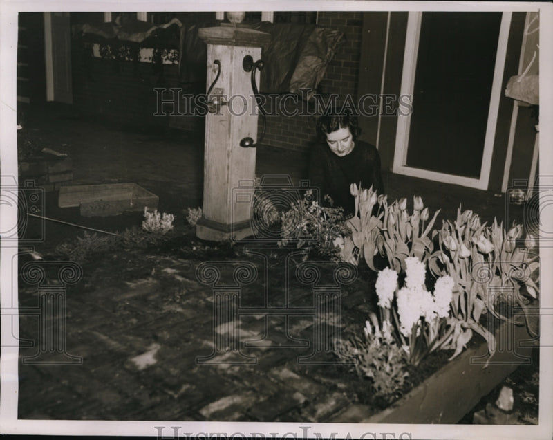 Load image into Gallery viewer, 1936 Press Photo New York International Flower Show Grand Central Palace NYC
