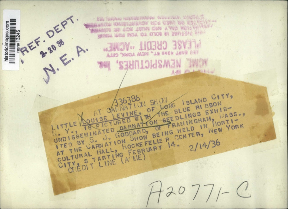 1936 Press Photo New York Louise Levine at Carnation show NYC - neny13245