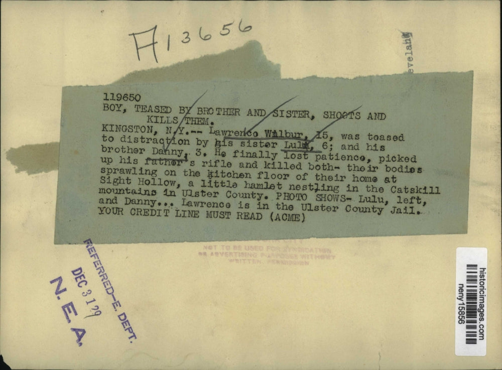 1929 Press Photo New York Lulu and Danny Wilbur killed by their Brother NYC