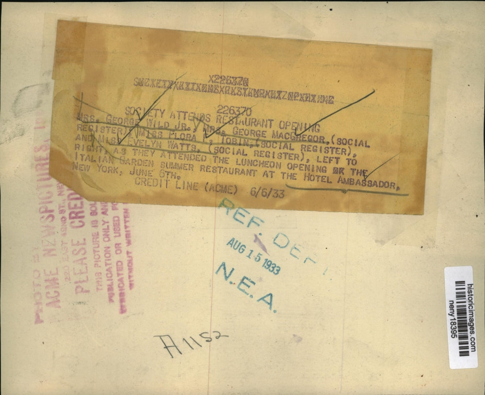 1933 Press Photo New York Hotel Ambassador Socialite Mrs George MacGregor NYC