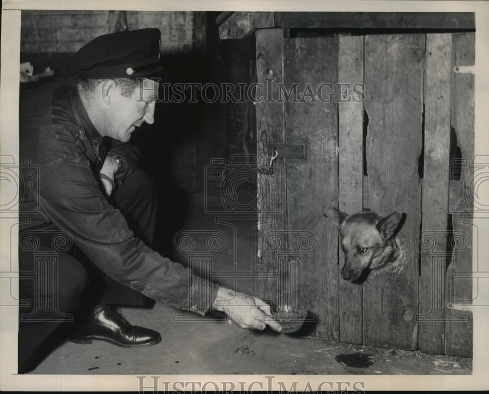 1948 Press Photo New York Patrolman James Murphy & a rescued dog at station NYC