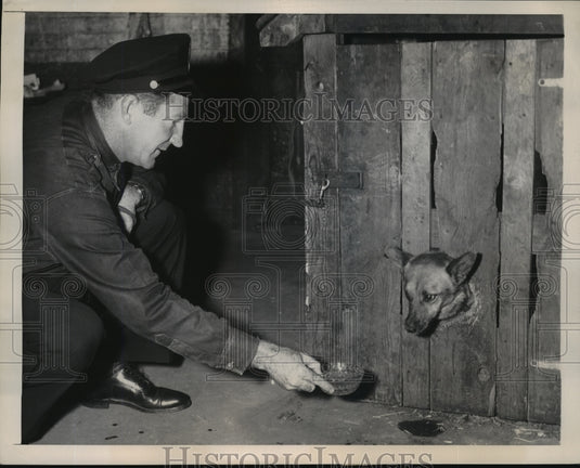 1948 Press Photo New York Patrolman James Murphy & a rescued dog at station NYC