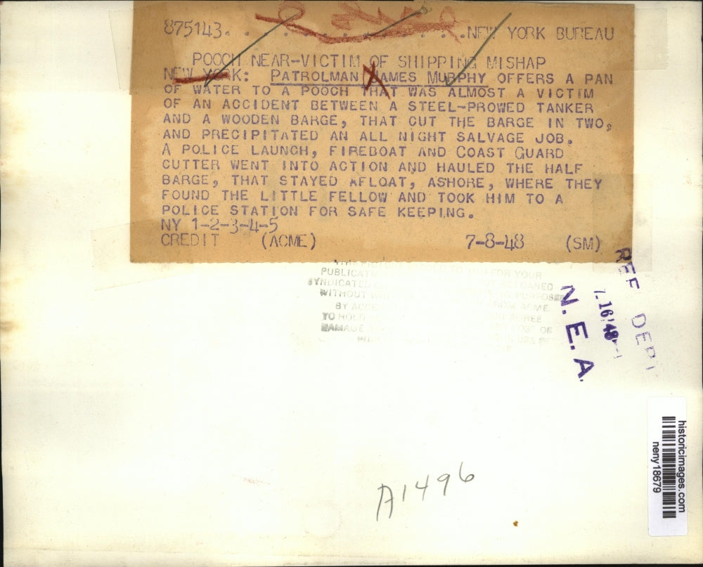 1948 Press Photo New York Patrolman James Murphy & a rescued dog at station NYC