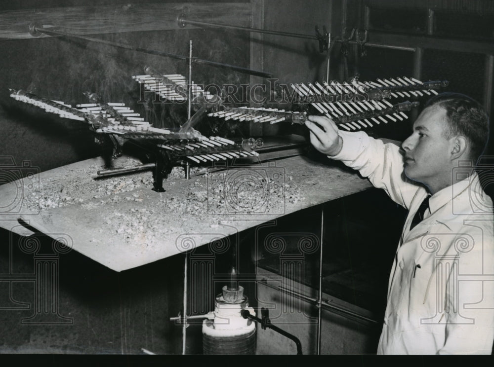 1954 Press Photo New York New York University Nicotine Study NYC - neny19078