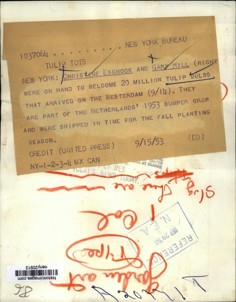 1953 Press Photo New York Christine Eschock and Gary Hill welcomed Tulip Bulbs