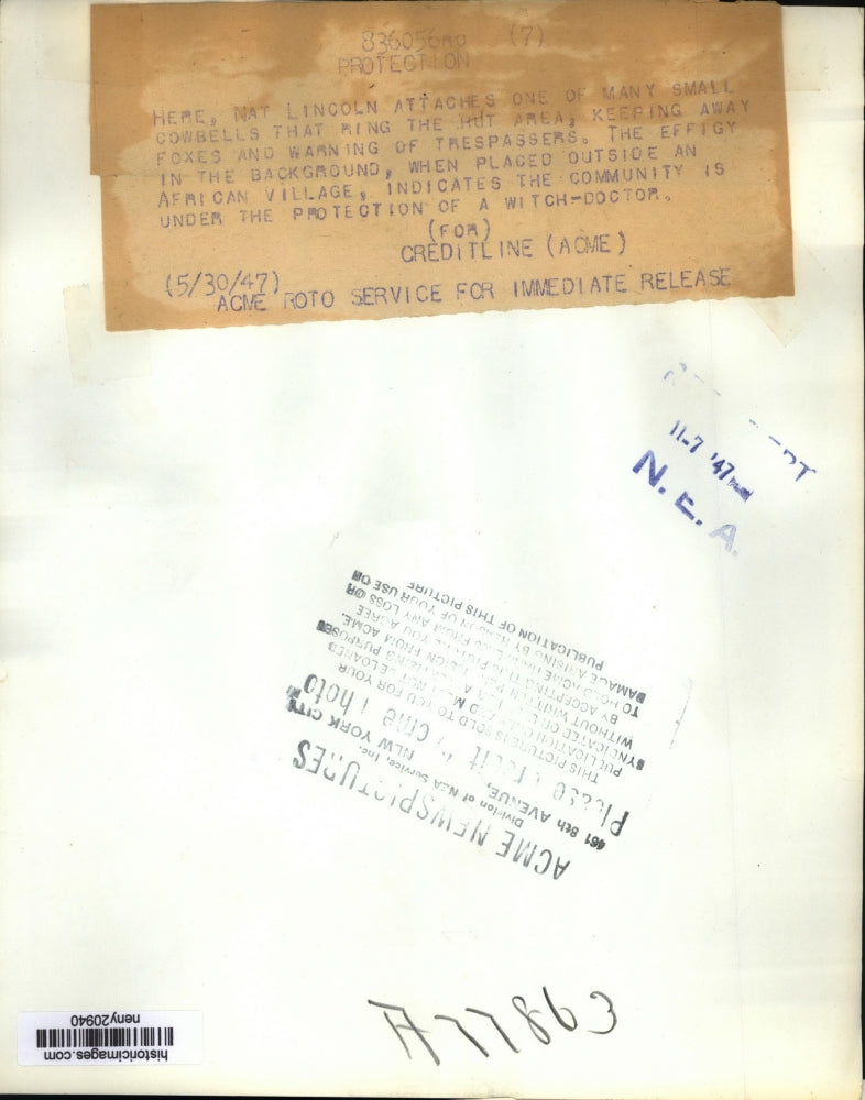 1947 Press Photo New York Nat Lincoln attached cowbells to keep away Foxes NYC