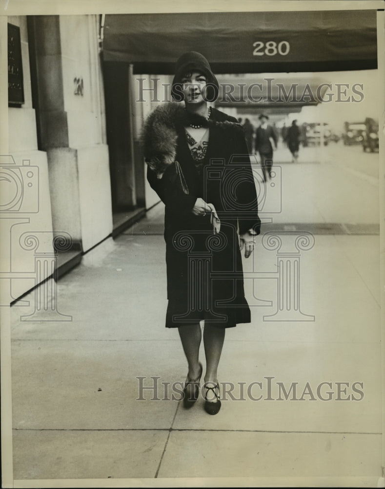 1930 Press Photo NEW YORK SOCIETY ON PARK AVENUE NYC - neny21190