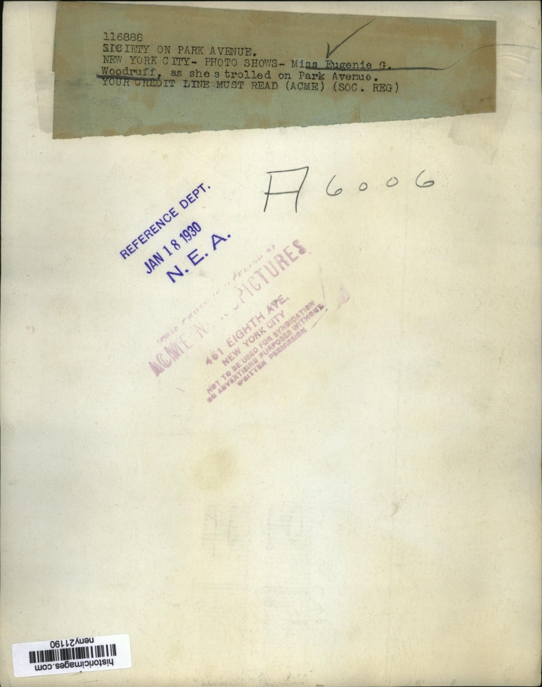 1930 Press Photo NEW YORK SOCIETY ON PARK AVENUE NYC - neny21190