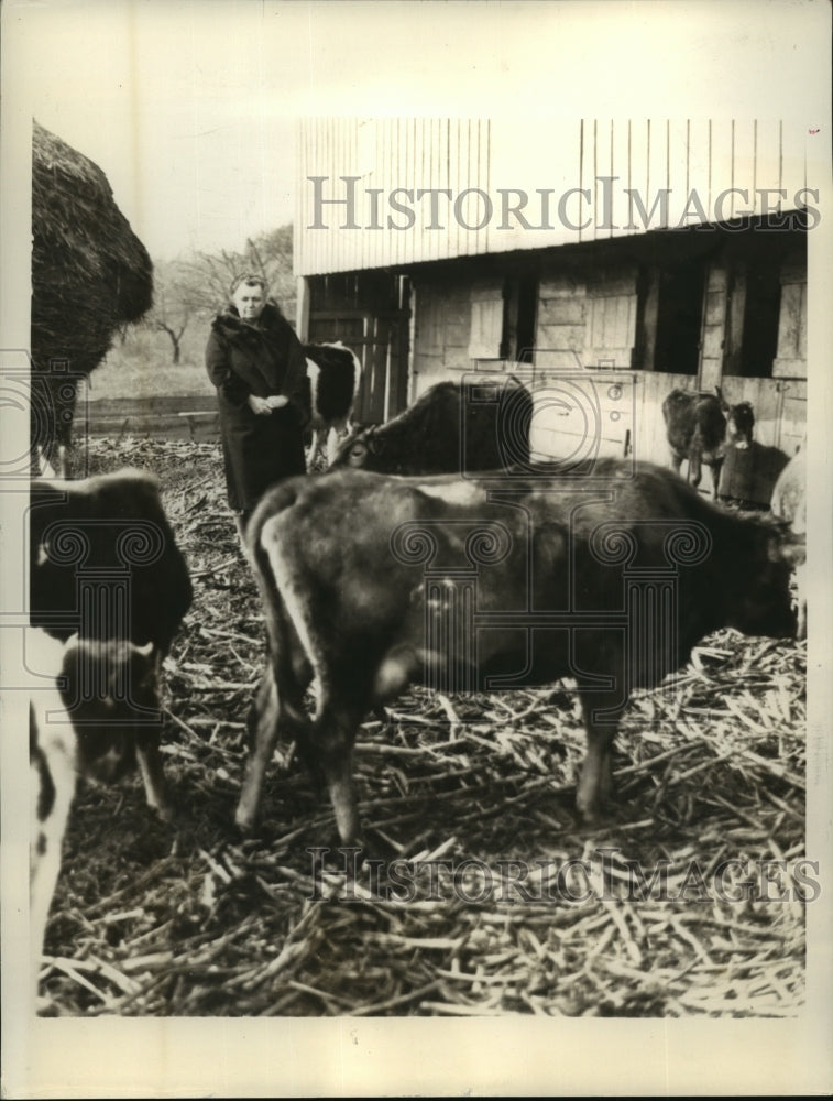 1933 Press Photo New York Mrs.Marie Whitney wife of Explorer Harry Whitney NYC