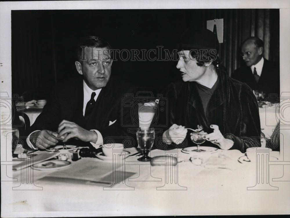 1933 Press Photo NEW YORK CITIZENS FAMILY WELFARE COMMITTEE HOLDS LUNCHEON NYC