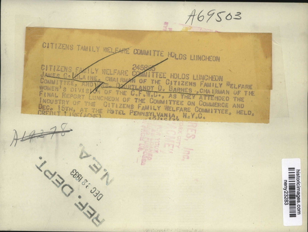 1933 Press Photo NEW YORK CITIZENS FAMILY WELFARE COMMITTEE HOLDS LUNCHEON NYC