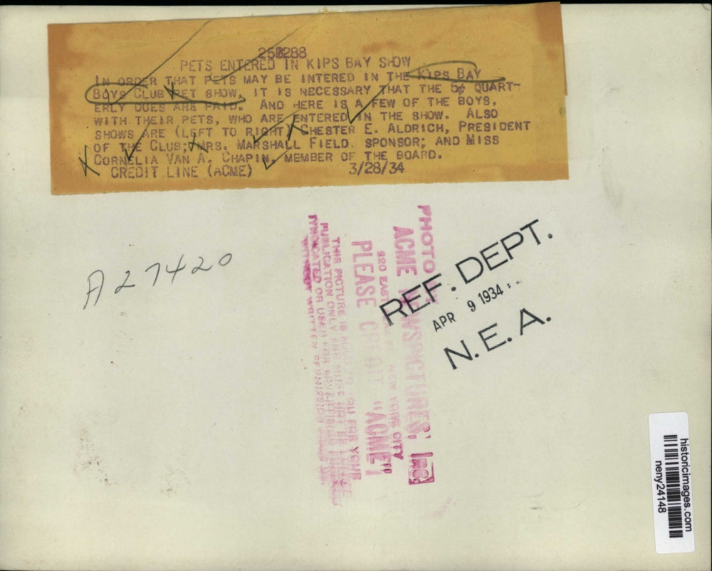 1934 Press Photo New York Pets Entered in The Kips Bay Boys Club Pet Show NYC