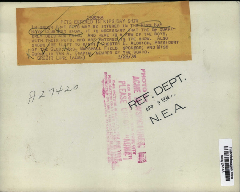 Load image into Gallery viewer, 1934 Press Photo New York Pets Entered in The Kips Bay Boys Club Pet Show NYC
