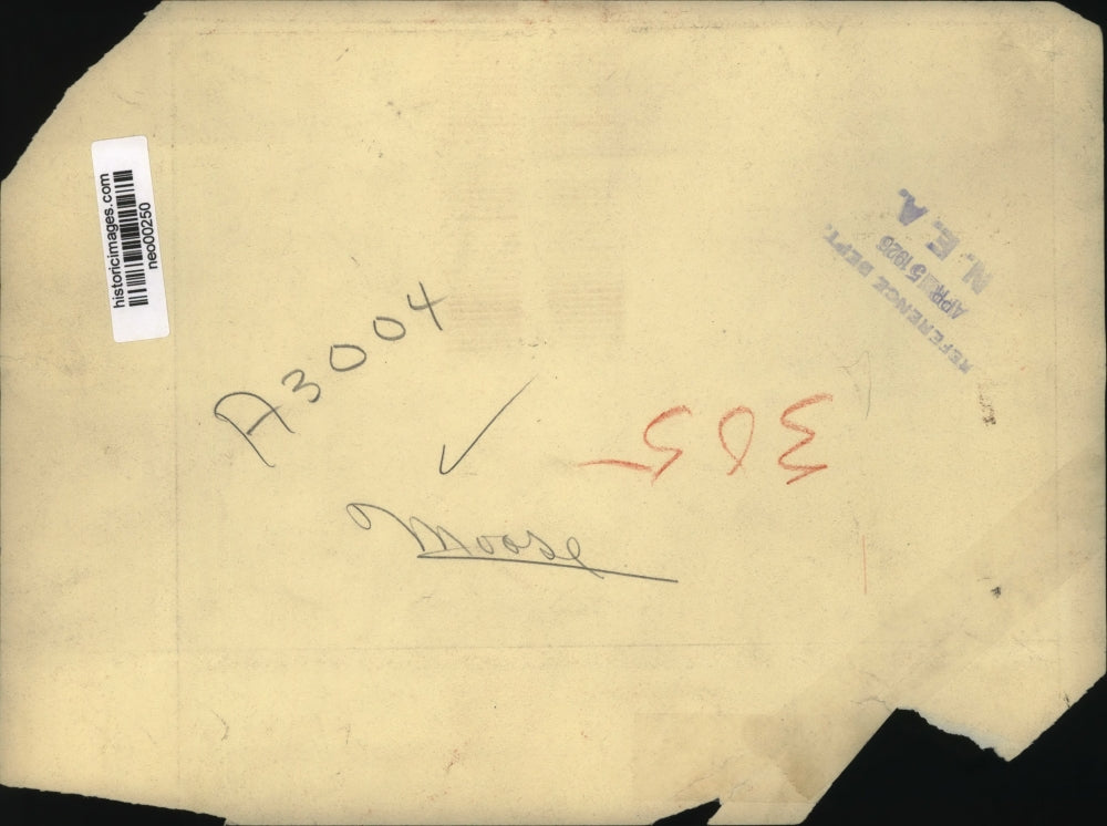 1926 Press Photo carcass of moose shot by hunter - neo00250