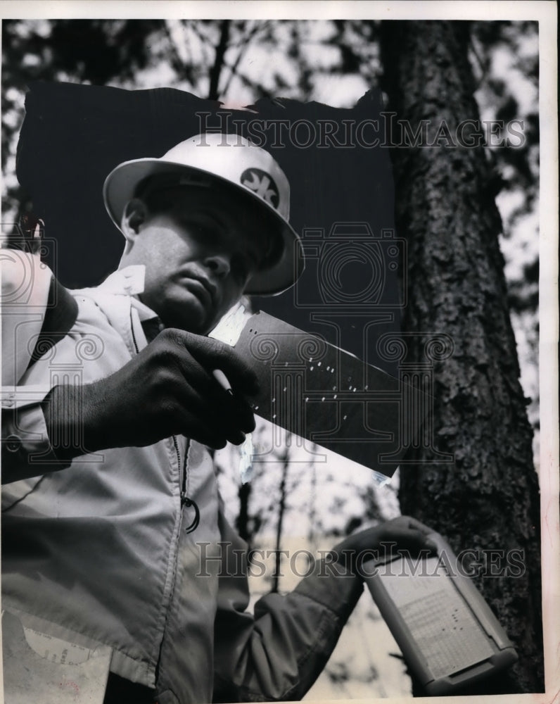 1966 Press Photo Kimberly-Clark Forest Census Punch-Cards - neo00370