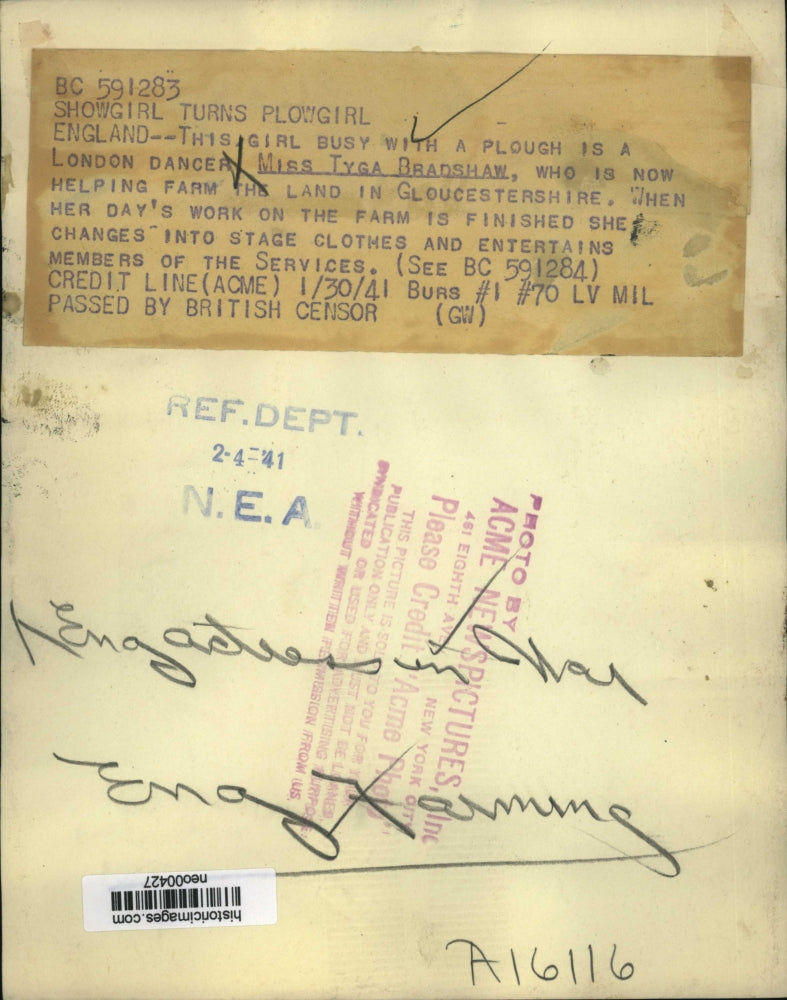 1941 Press Photo Dancer Tyga Bradshaw Farming in Gloucestershire, England