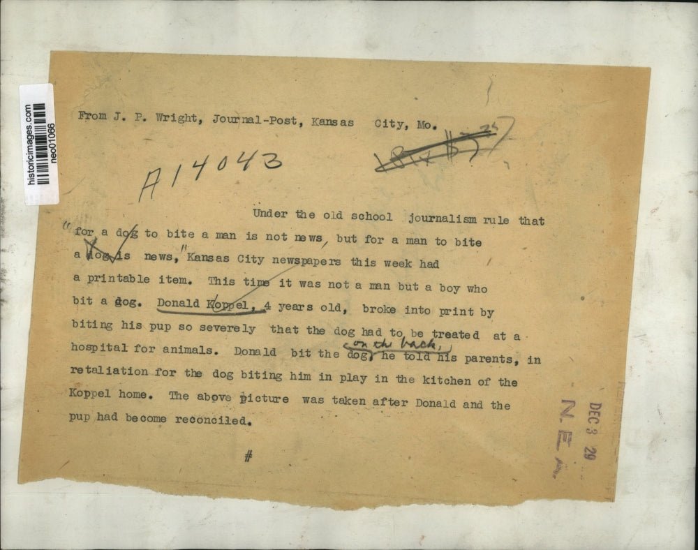 1929 Press Photo 4-year-Old Boy Donald Koppel, Bit His Puppy - neo01066