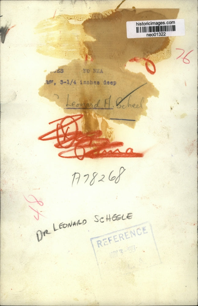 1955 Press Photo Leonard H Schegle at his office desk - neo01322