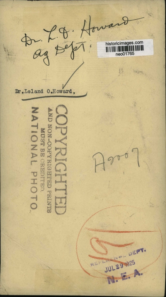 1925 Press Photo Dr. Leland O. Howard of US Agriculture Department - neo01765