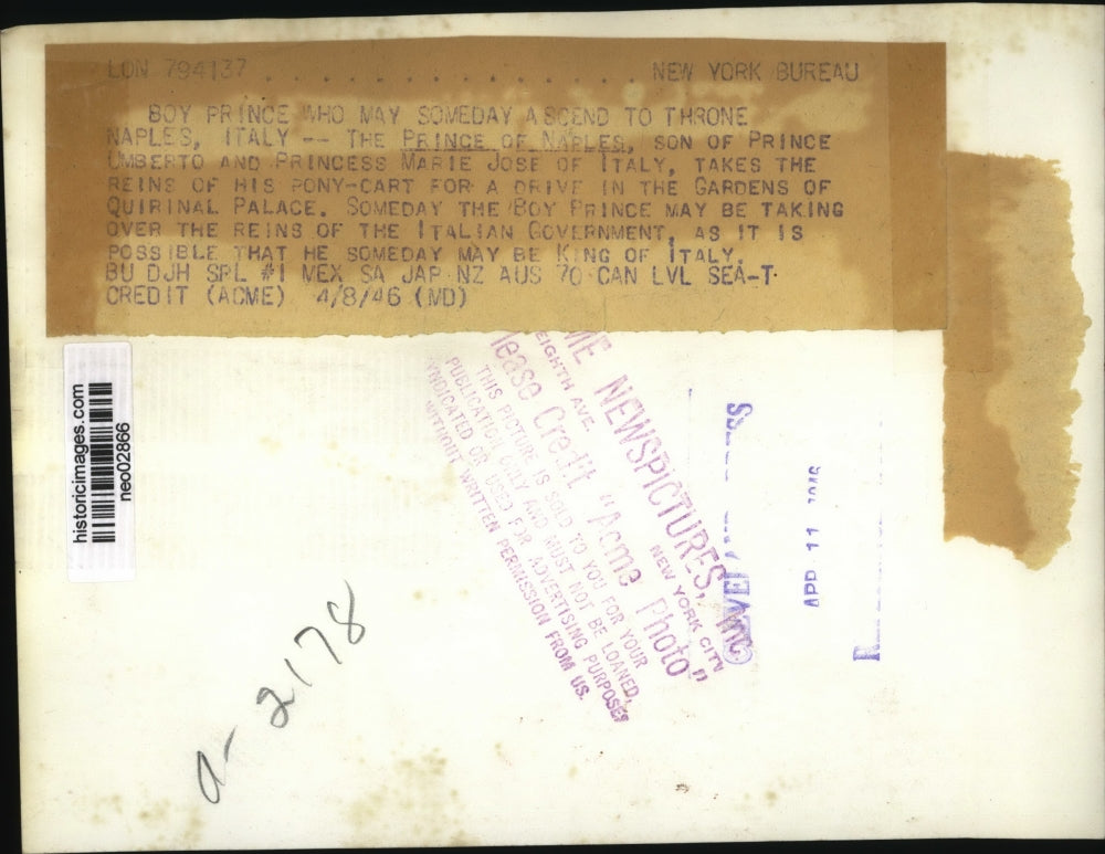 1946 Press Photo Prince of Naples drives pony cart at Gardens of Quirinal Palace