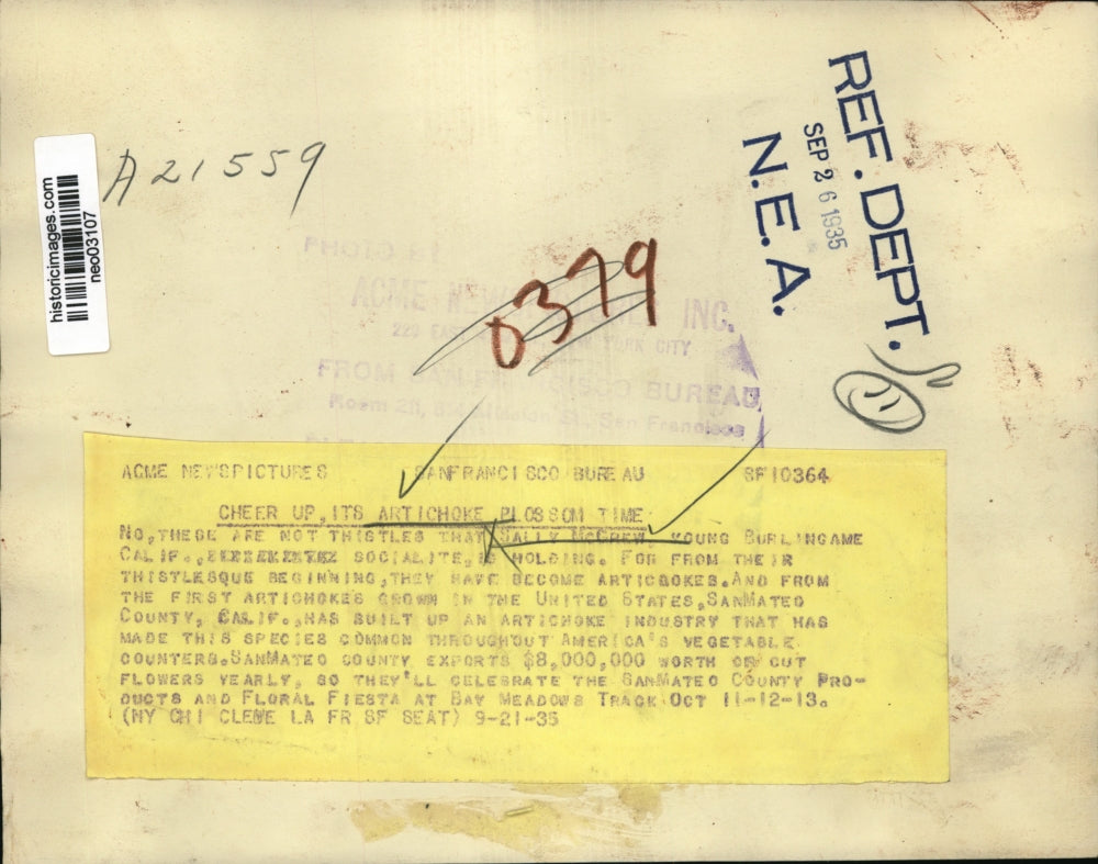 1935 Press Photo Sally McGrew Holding Artichoke Blossoms, California - neo03107