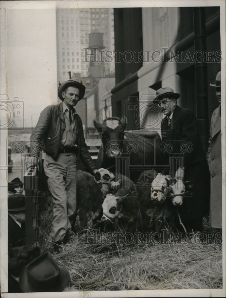 1937 Press Photo Hiram Long with Quintuplet Cows in Chicago w Herman Bundeson