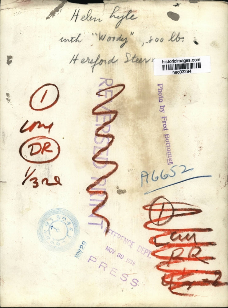 1939 Press Photo Helen Lyle with Hereford Steer "Woody" - neo03294