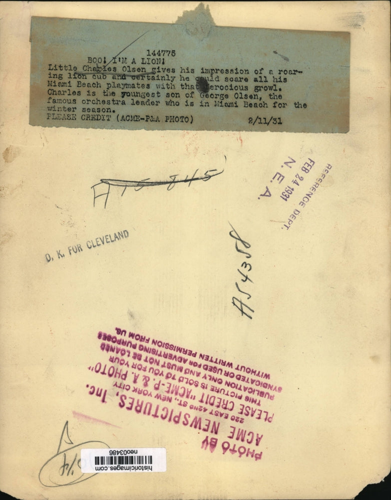 1931 Press Photo Charles Olsen pretends to be a lion in Miami Beach - neo03486