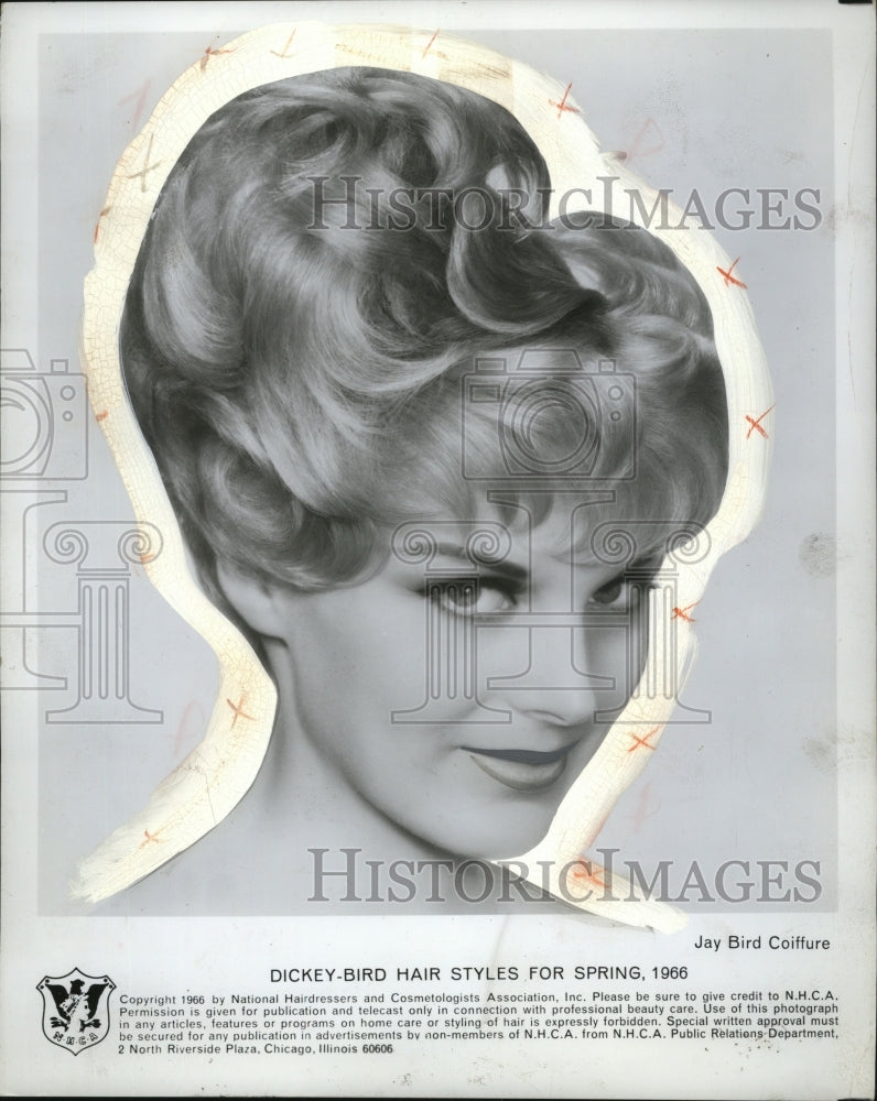 Load image into Gallery viewer, 1966 Press Photo Jay Bird Coiffure Hair Styles - neo03860
