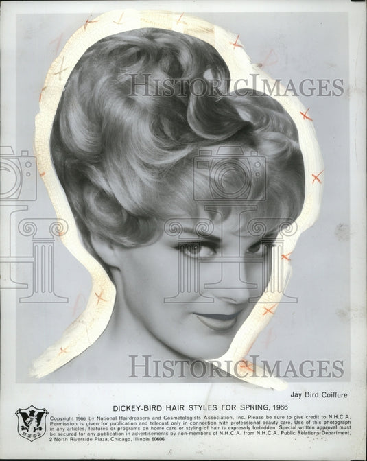 1966 Press Photo Jay Bird Coiffure Hair Styles - neo03860