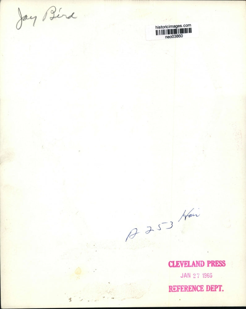 1966 Press Photo Jay Bird Coiffure Hair Styles - neo03860