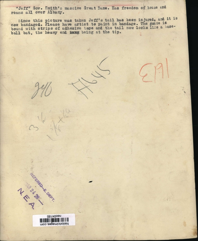 1928 Press Photo Jeff, Gov. Smith's Great Dane - neo04185