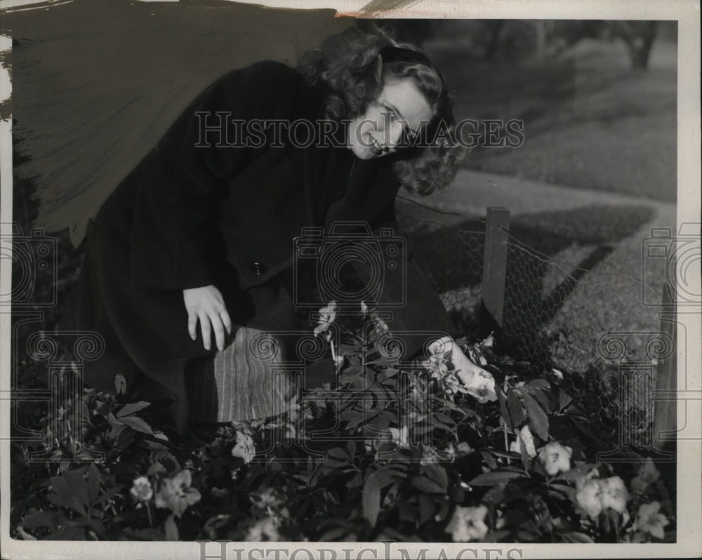 1946 Press Photo Gloria Holociter Cleveland Art Museum Office Employee