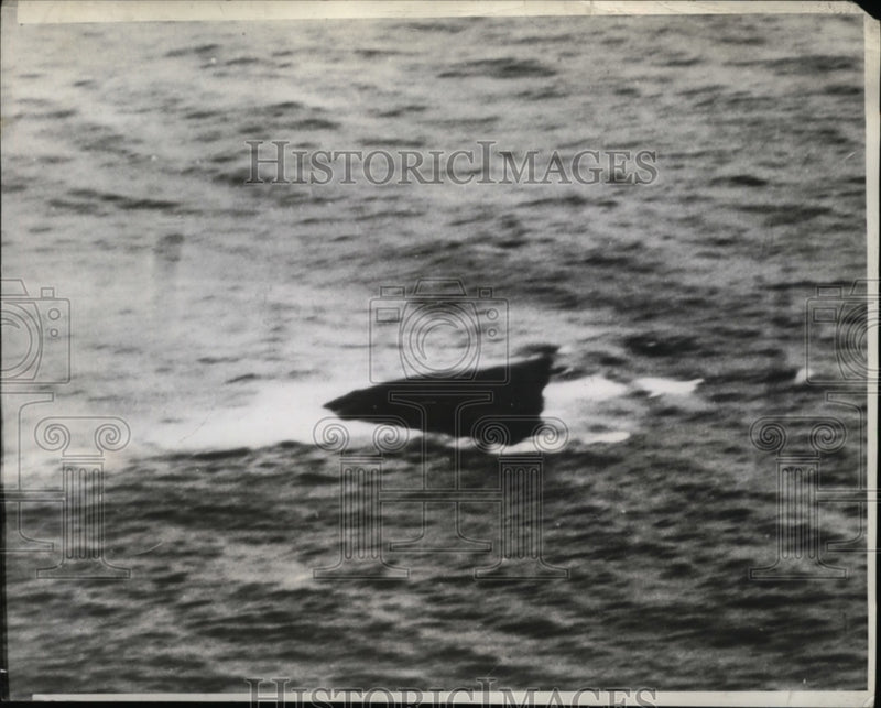 Load image into Gallery viewer, 1942 Press Photo Socony Vacuum Oil Company Tanker Rochester Atlantic Coast
