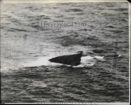 1942 Press Photo Socony Vacuum Oil Company Tanker Rochester Atlantic Coast