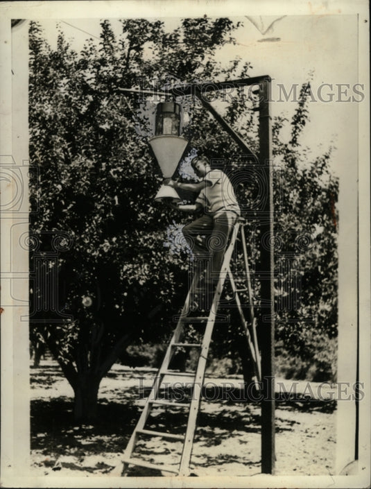 1935 Press Photo Insect Electrocutor - neo04603