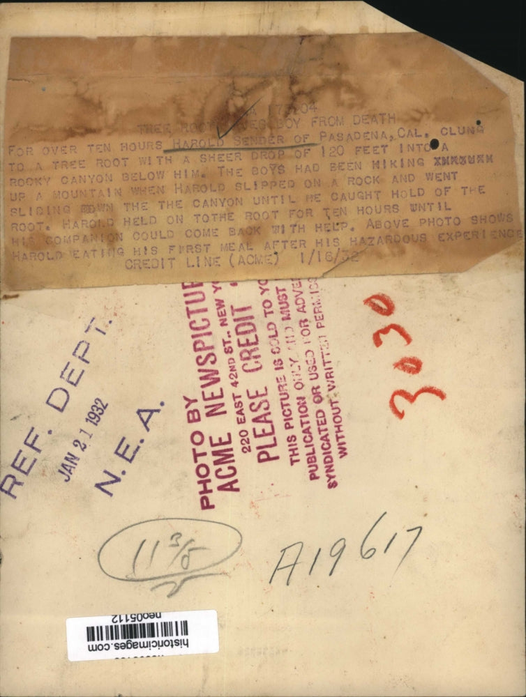 1932 Press Photo Harold Sender Eating After Hanging from Tree Root 10 Hours