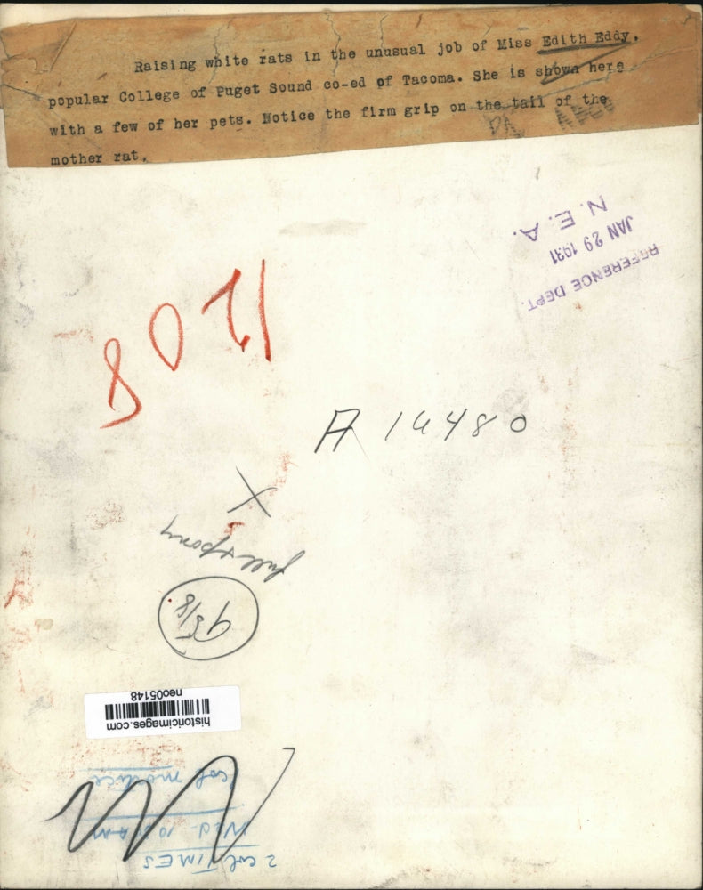 1931 Press Photo Miss Edith Eddy co-ed of College of Puget Sound With Her Pets