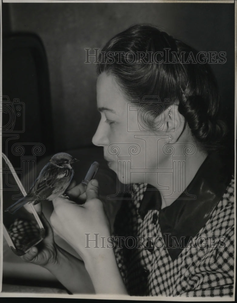 Load image into Gallery viewer, 1948 Press Photo Mickey an English Spawrrow &amp; Mrs. Fritz Heilman of Chicago
