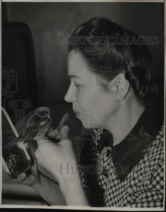 1948 Press Photo Mickey an English Spawrrow & Mrs. Fritz Heilman of Chicago