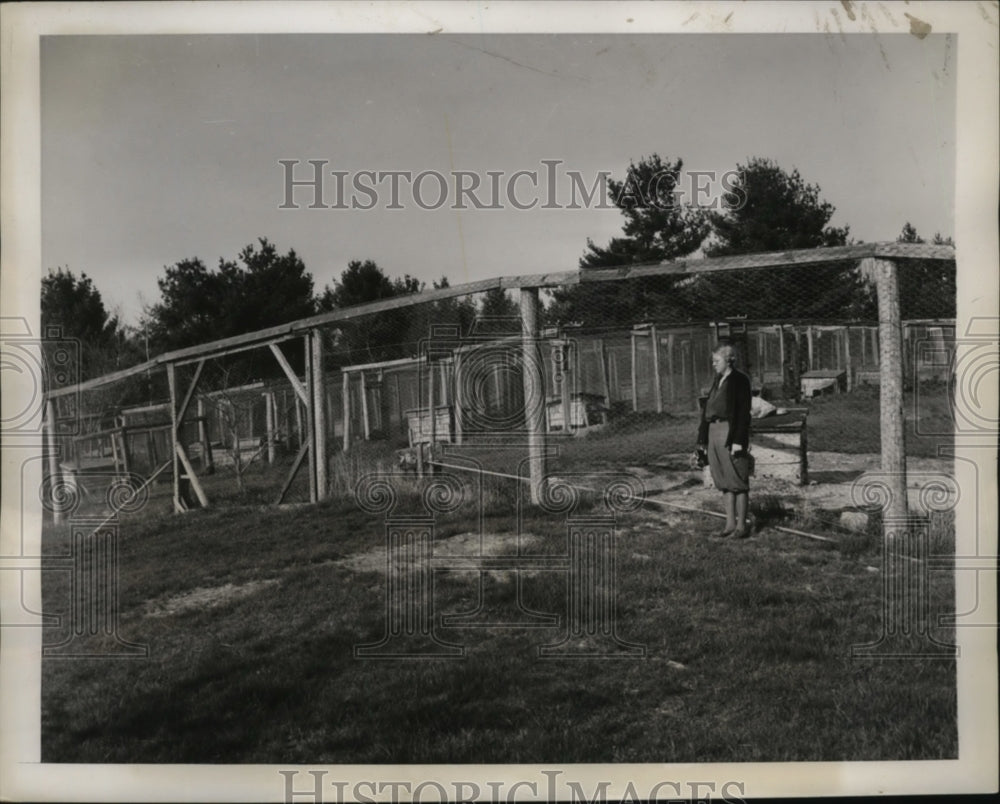 1939 Press Photo Dargie Fox Farm owner Mrs. Mary Dargie Hooksett, NH - neo05350