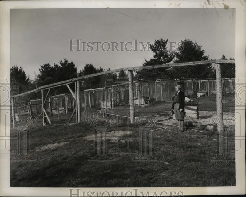 Load image into Gallery viewer, 1939 Press Photo Dargie Fox Farm owner Mrs. Mary Dargie Hooksett, NH - neo05350
