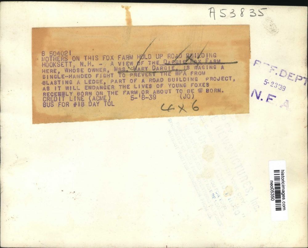 1939 Press Photo Dargie Fox Farm owner Mrs. Mary Dargie Hooksett, NH - neo05350