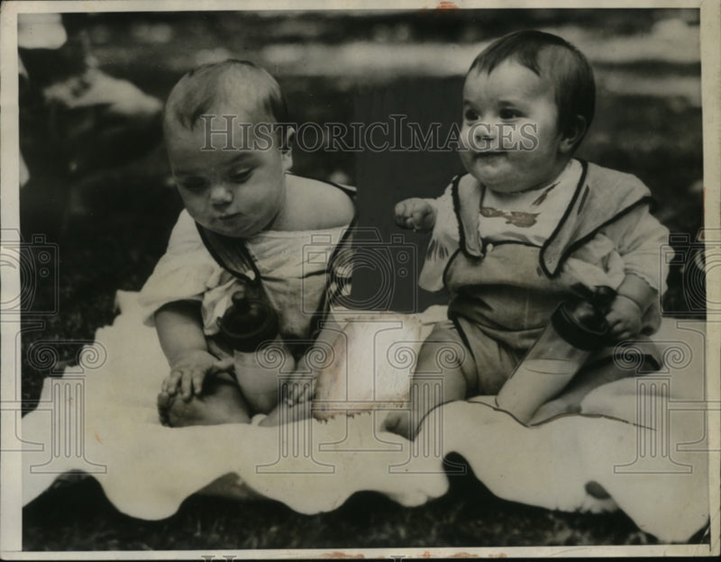 Load image into Gallery viewer, 1931 Press Photo Babies sitting on a blanket - neo05460
