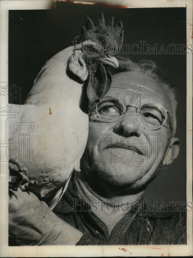 Load image into Gallery viewer, 1946 Press Photo Henry Schneider with White Leghorn Hen Turned Rooster
