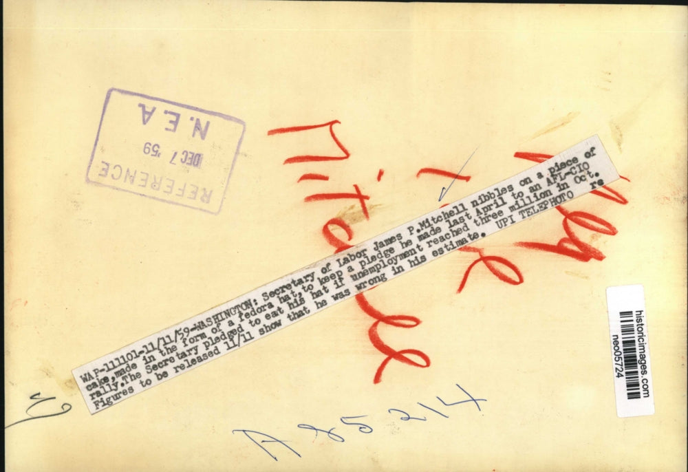 1959 Press Photo Secretary of Labor James P. Mitchell in Washington - neo05724